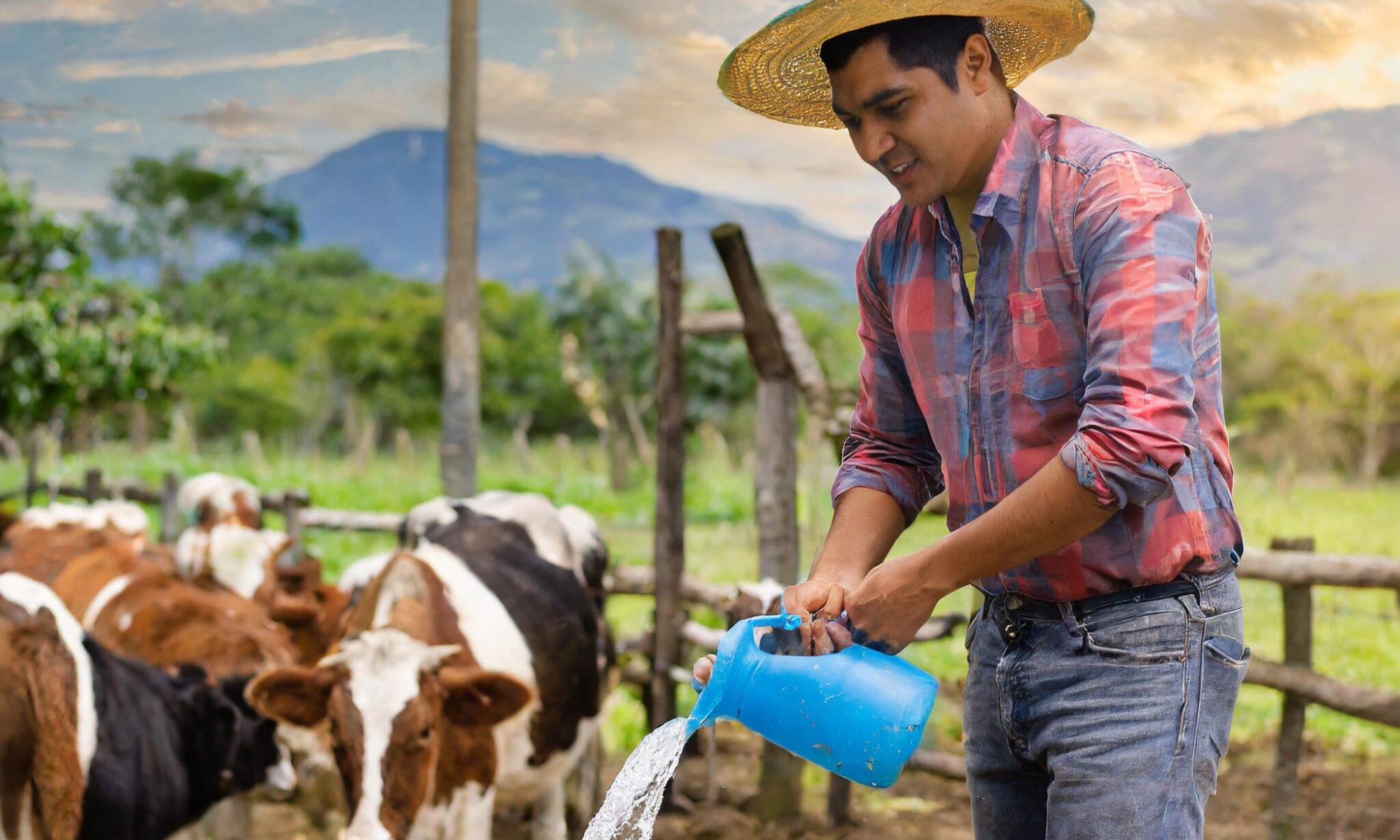 Firefly Granjero limpiando vertiendo dióxido de cloro en el pozo donde beben agua sus vacas 81918